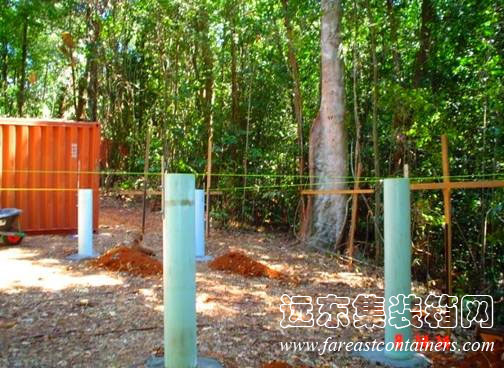 澳大利亞昆士蘭的雨林研究室的柱樁基礎(chǔ),集裝箱房屋,集裝箱建筑,集裝箱住宅,集裝箱活動房,住人集裝箱