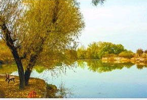 集裝箱旅店周圍的環(huán)境優(yōu)美，適合散心